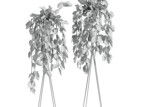 Plants set 3D Model