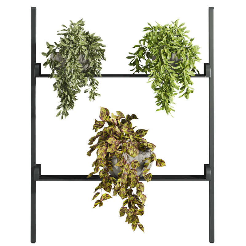 Insieme delle piante Modello 3D .c4d .max .obj .3ds .fbx .stl .blend 