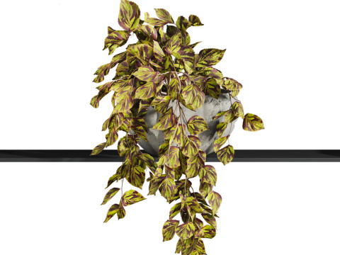 Plants set Modèle 3D
