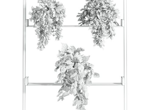 Plants set Modèle 3D