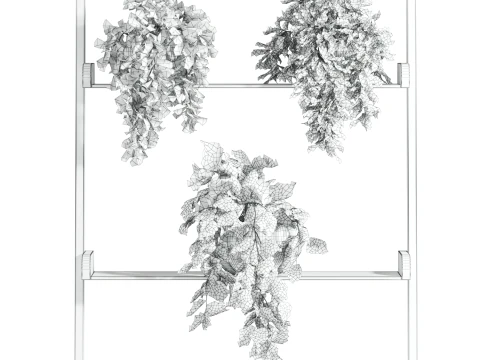 Insieme delle piante Modello 3D