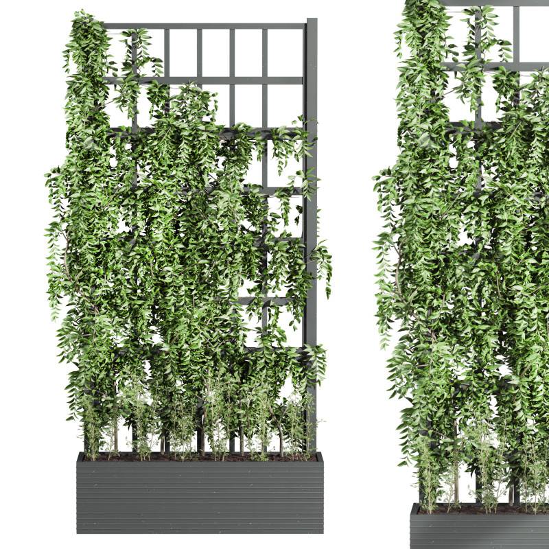Ivy plant 3Dモデル .c4d .max .obj .3ds .fbx .stl .blend