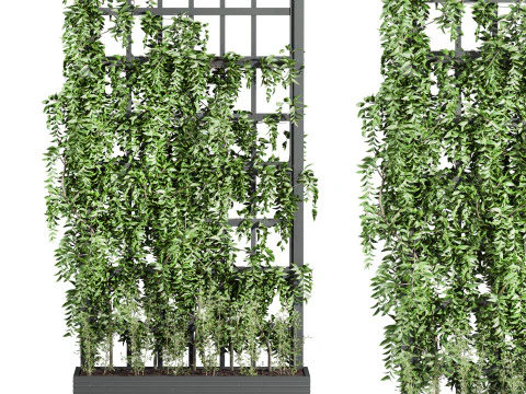 아이비 식물 3D 모델