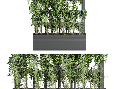 Ivy plant 3Dモデル