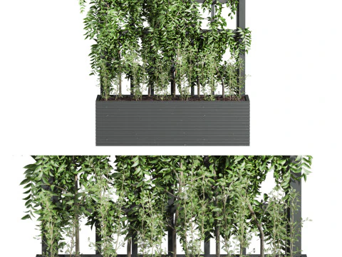Ivy plant 3D Model