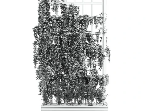 Ivy plant 3D Model