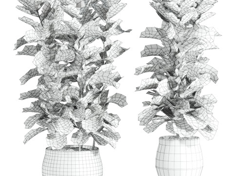 Plants set Model 3D