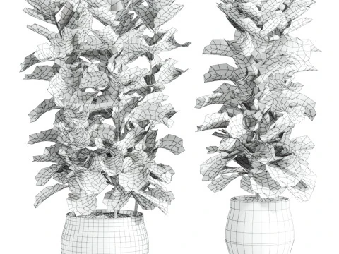 Plants set 3D Model