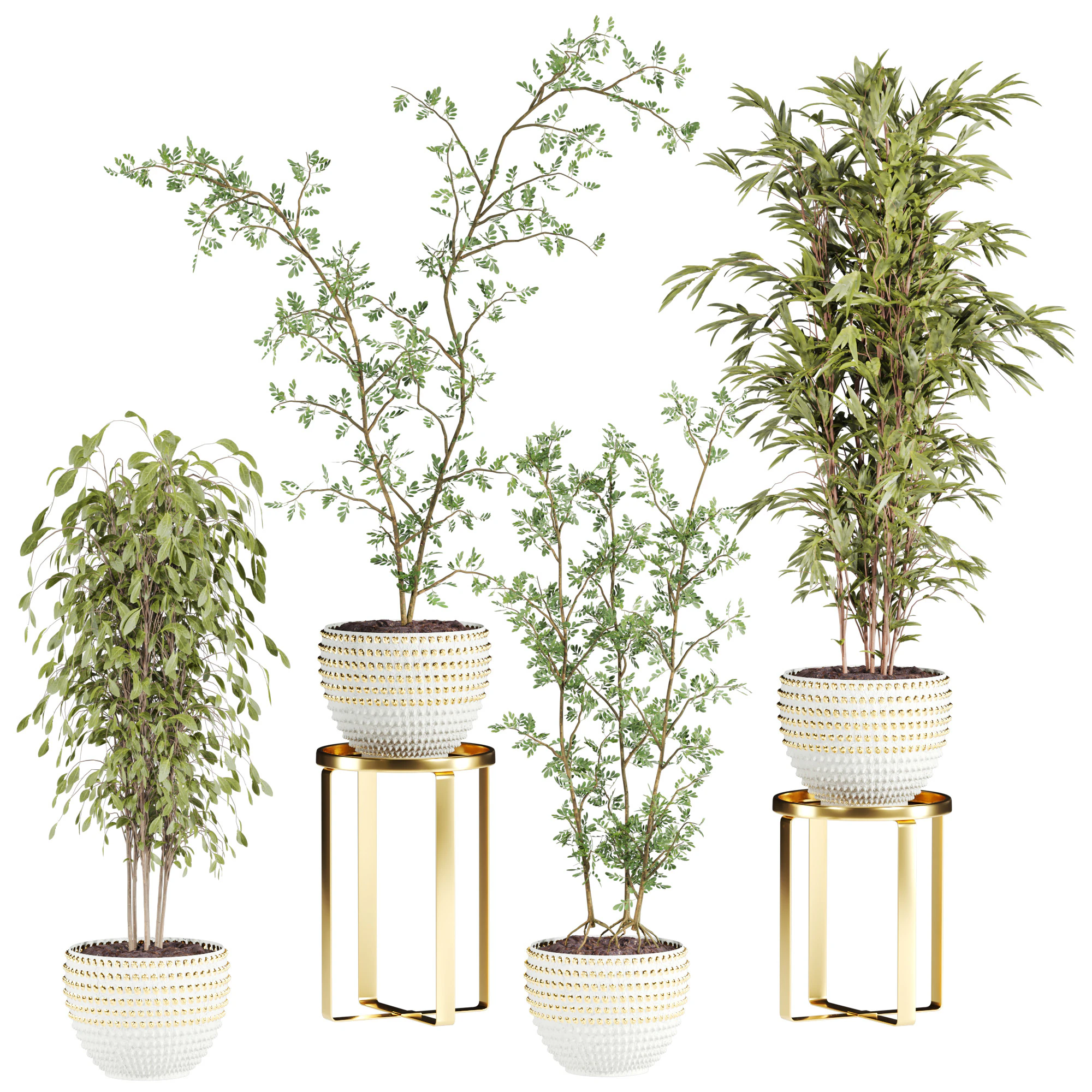 Plants set 3D Model .c4d .max .obj .3ds .fbx .stl .blend 