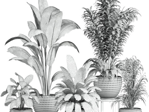Plants set 3Dモデル
