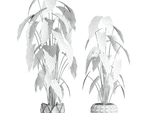 Plants 3D 모델