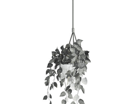 Hanging plant 3D Model