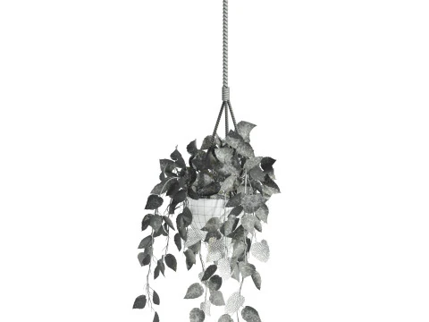 Hanging plant 3D Model