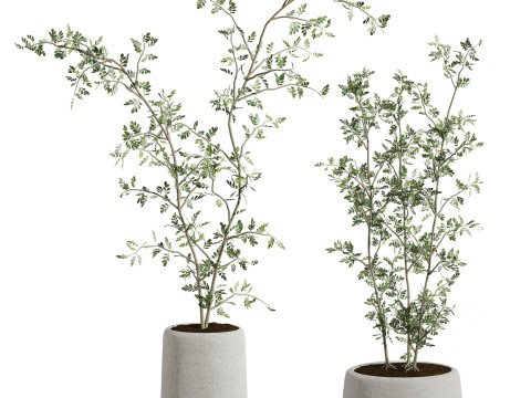 Plants set 3D 모델