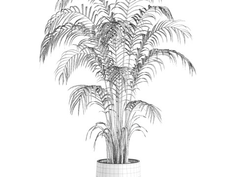 Plant 3Dモデル