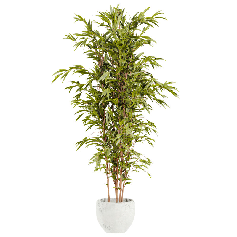 Bamboo Modelo 3D .c4d .max .obj .3ds .fbx .stl .blend