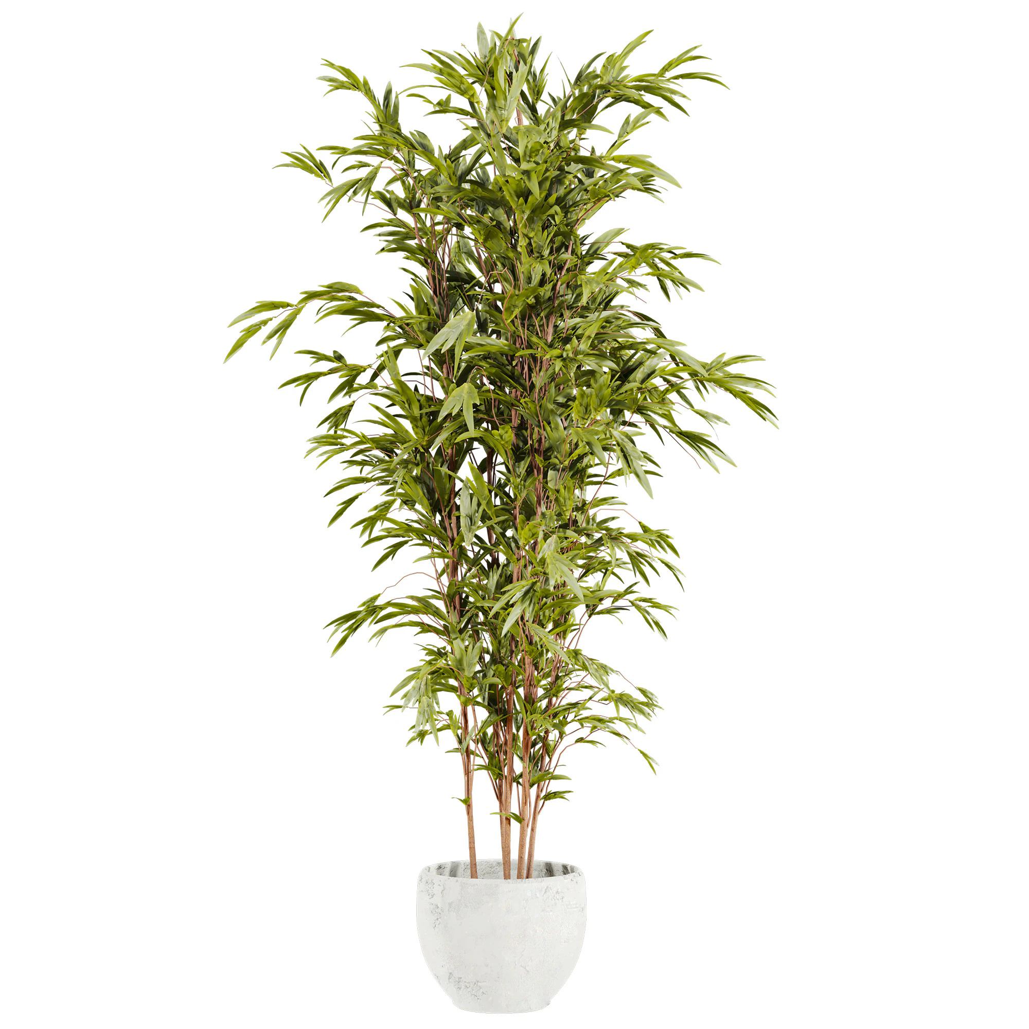 Bamboo 3D Model .c4d .max .obj .3ds .fbx .stl .blend 