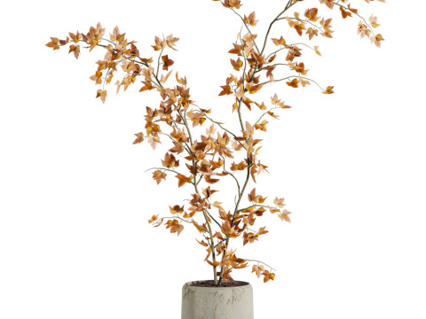 Plants set 3D 모델