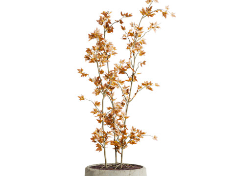 Plants set 3D 모델