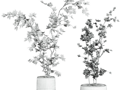 Plants set 3D 모델
