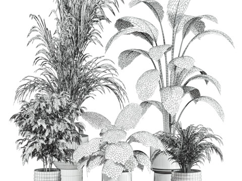 Plants set 3D Model