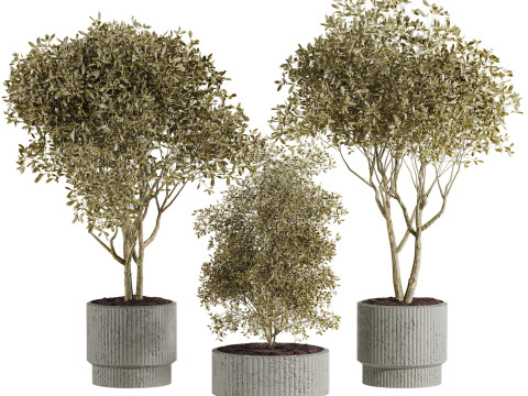 Plants set 3Dモデル