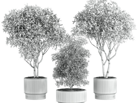 Plants set 3D Model