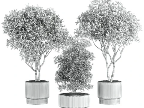 Plants set 3D Model
