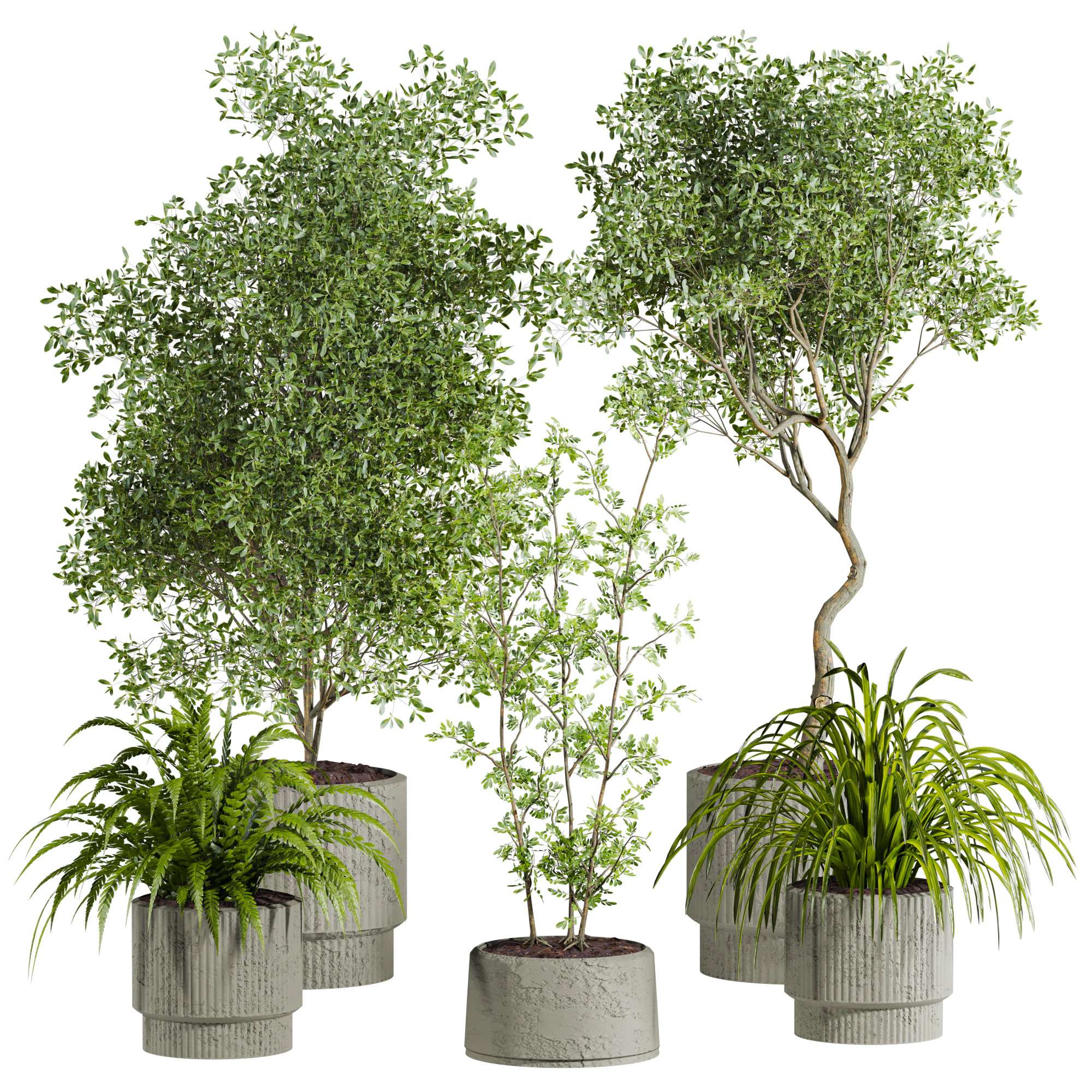 Plants set 3D Model .c4d .max .obj .3ds .fbx .stl .blend