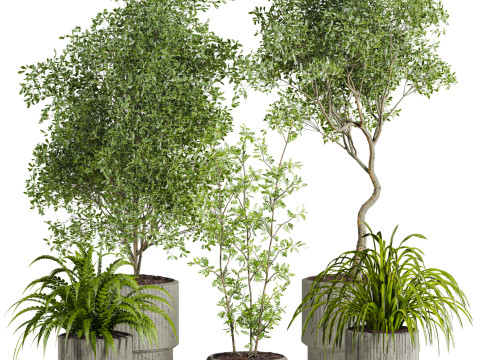 Plants set Modelo 3D