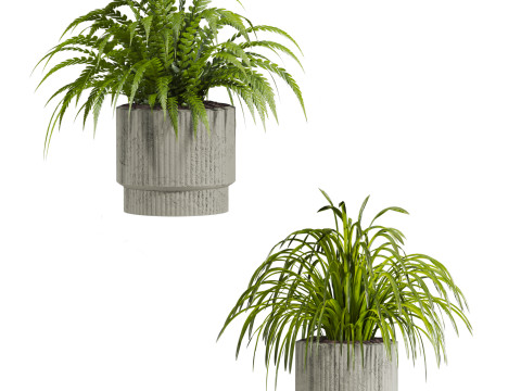 Plants set 3D Model