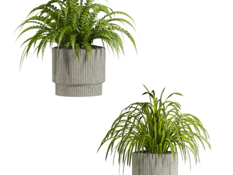 Plants set 3D Model