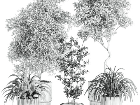 Plants set 3D Model
