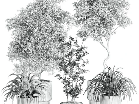 Plants set 3D Model