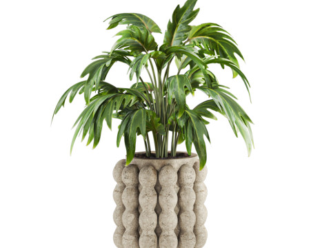 Plants set Modello 3D
