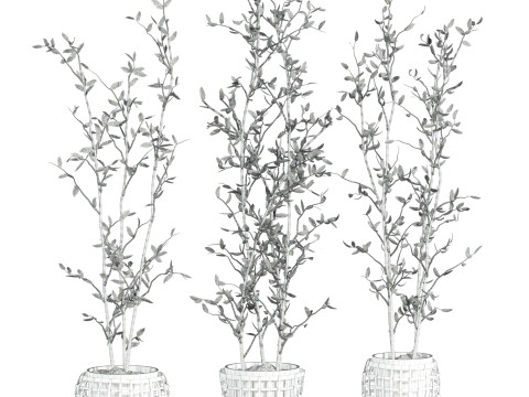 Plants set 3D Модель