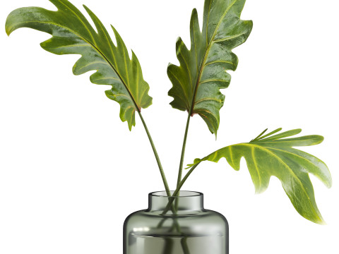 Bouquet 3D Model
