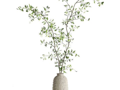 Bouquet set Modello 3D