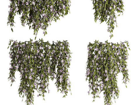 Ivy plants 3D Model