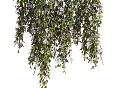 Ivy plants Model 3D
