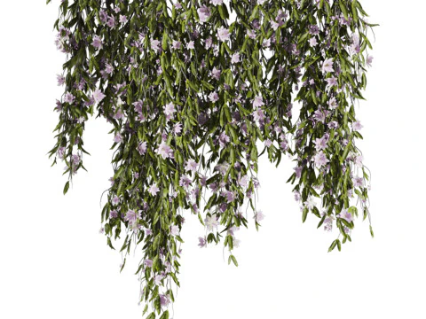Ivy plants 3D Model
