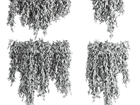 Ivy plants Model 3D