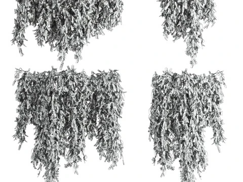 Ivy plants 3D Model