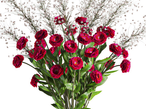 Bouquet 3D Model