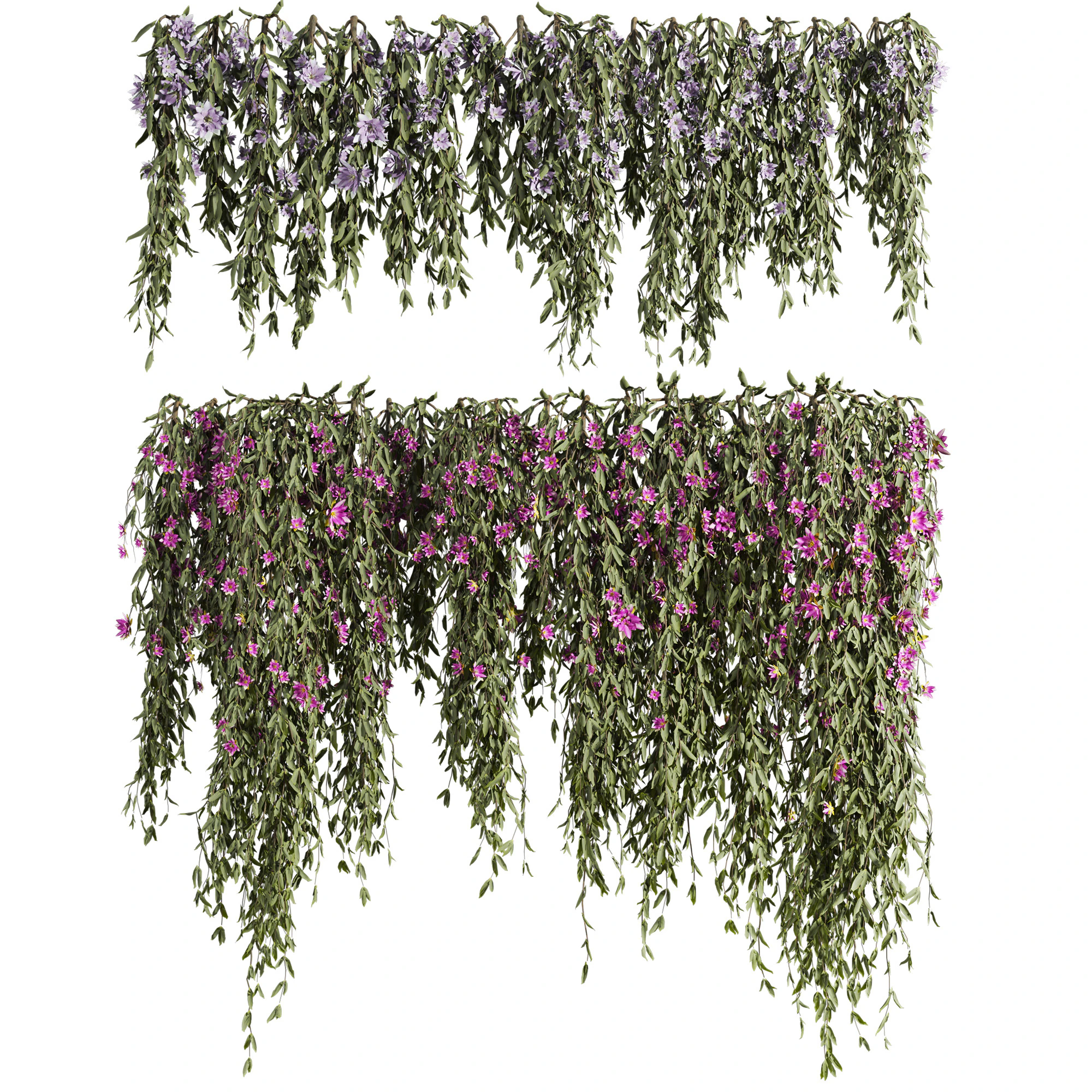Ivy plants 3D Model .c4d .max .obj .3ds .fbx .stl .blend