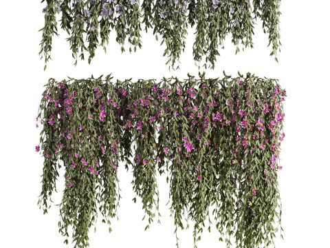 Ivy plants 3Dモデル