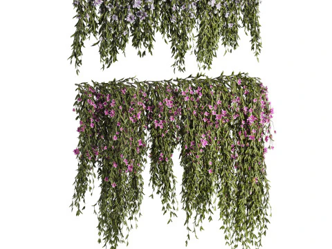 Ivy plants 3D Model