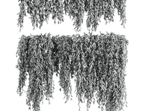 Ivy plants 3D Model