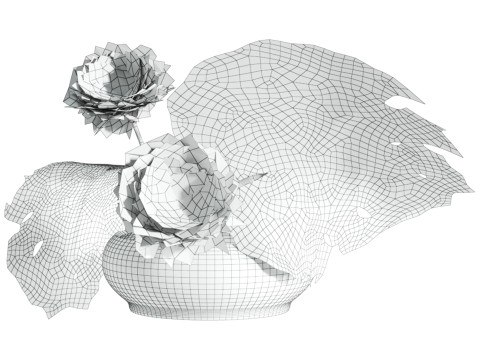 Bouquet 3D 模型