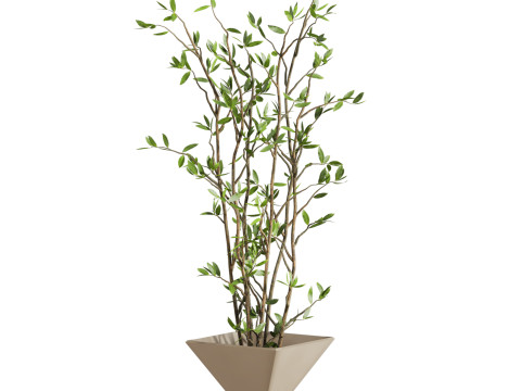Plants set 3D 모델
